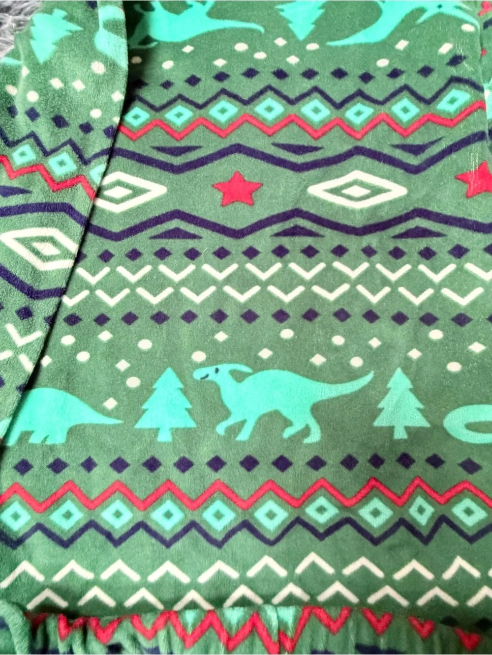 Boys 4T Green Dino Print Pajama Set Velour Cozy Holiday Dinosaur theme matching